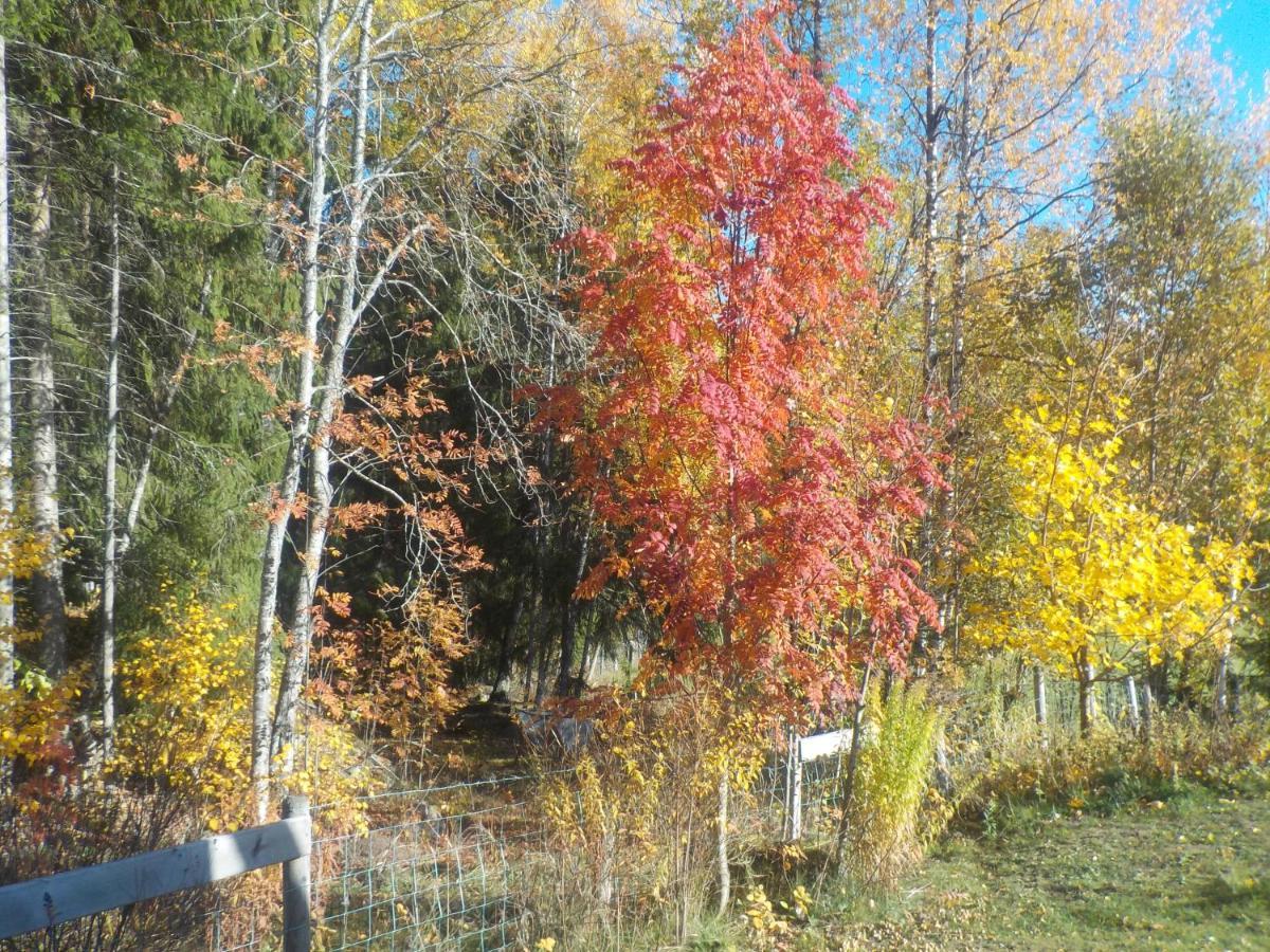 Lovelund Farm. Cottage Hagfors Esterno foto